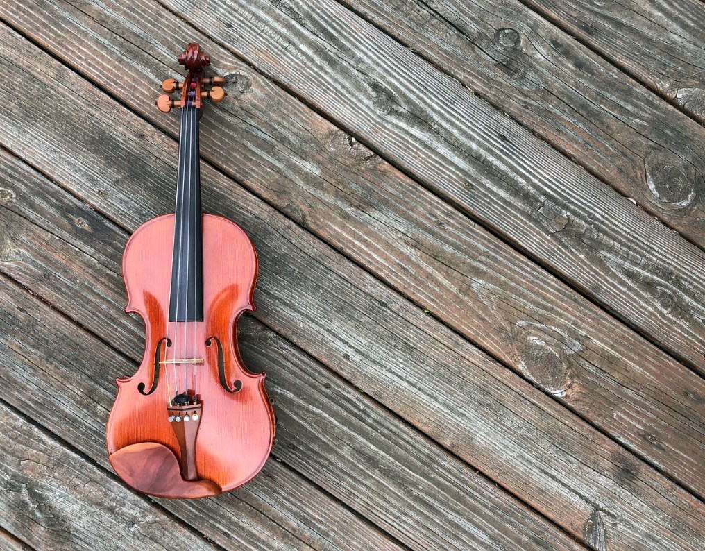 Violin Instrument