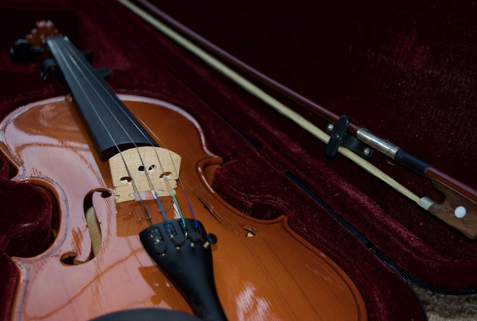 Trække ud specificere rille Best Violin Accessories Guide: Your Must Haves List! - Strings Guide