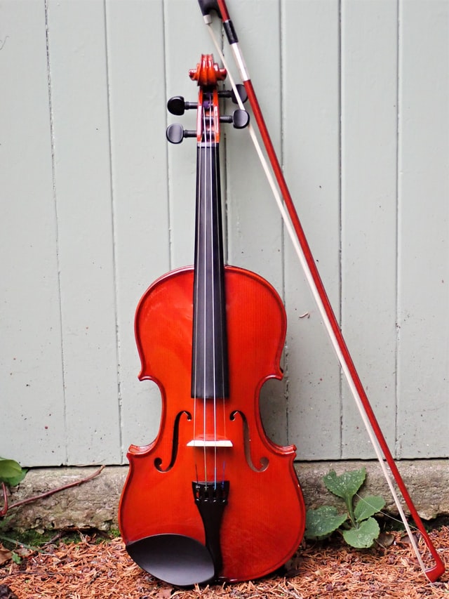elegant violin