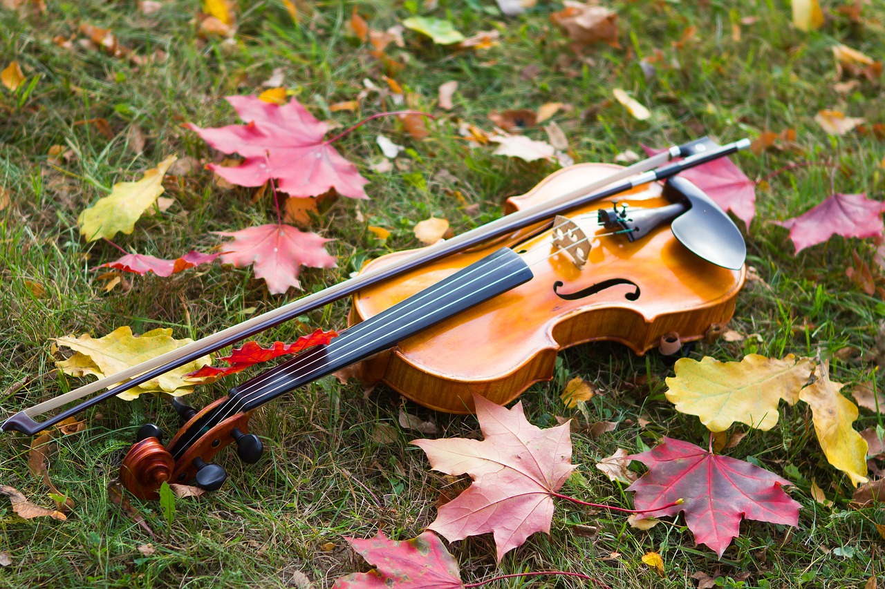 violin and bow on grass