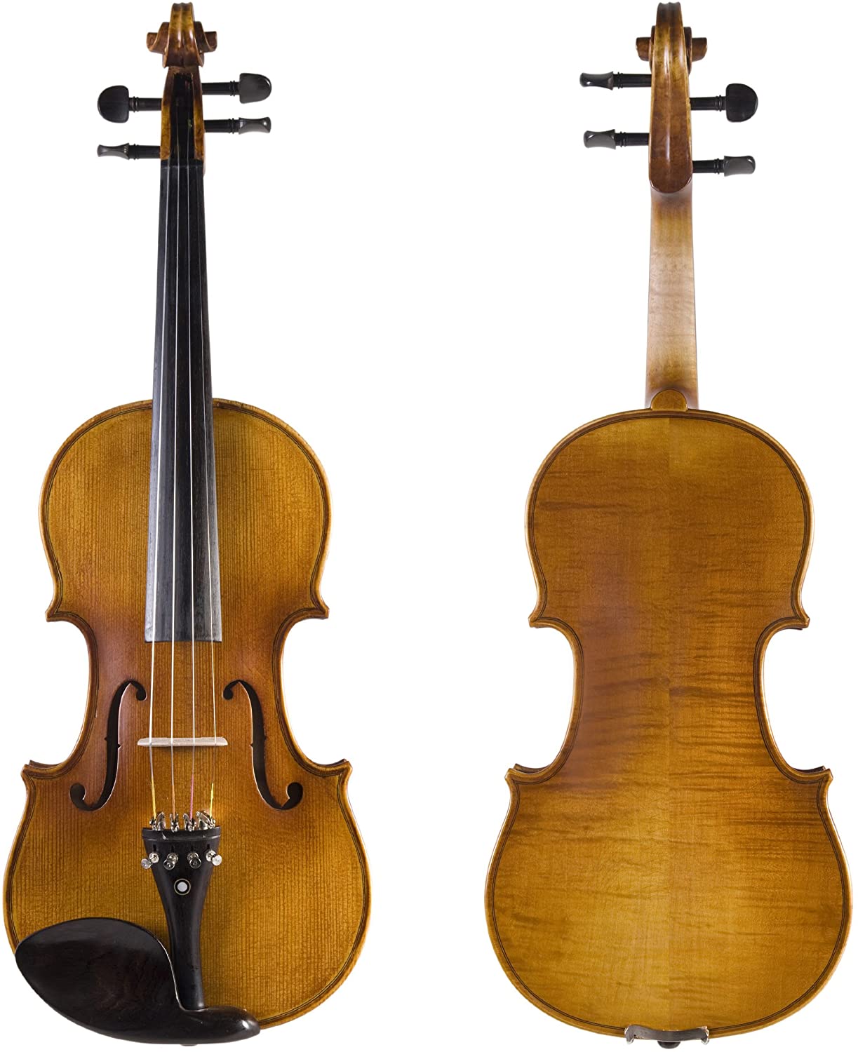 Cecilio CVN-500 Solidwood Ebony Fitted Violin with D'Addario Prelude Strings