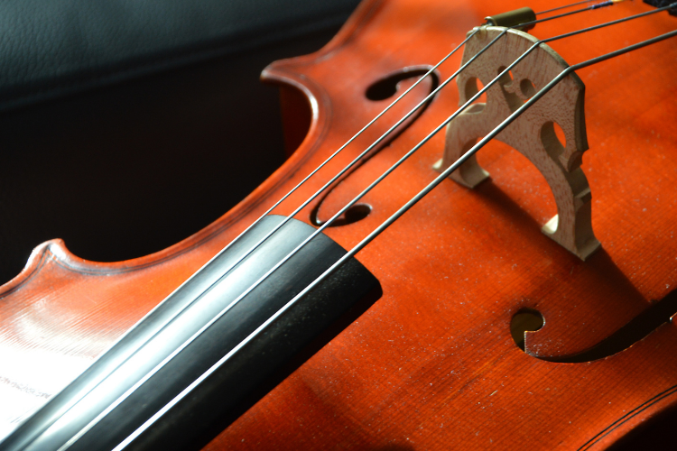 Cello Bridge and Cello Fingerboard Curves