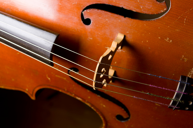 Cello Strings 