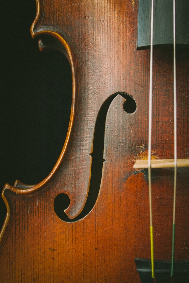 classic viola
