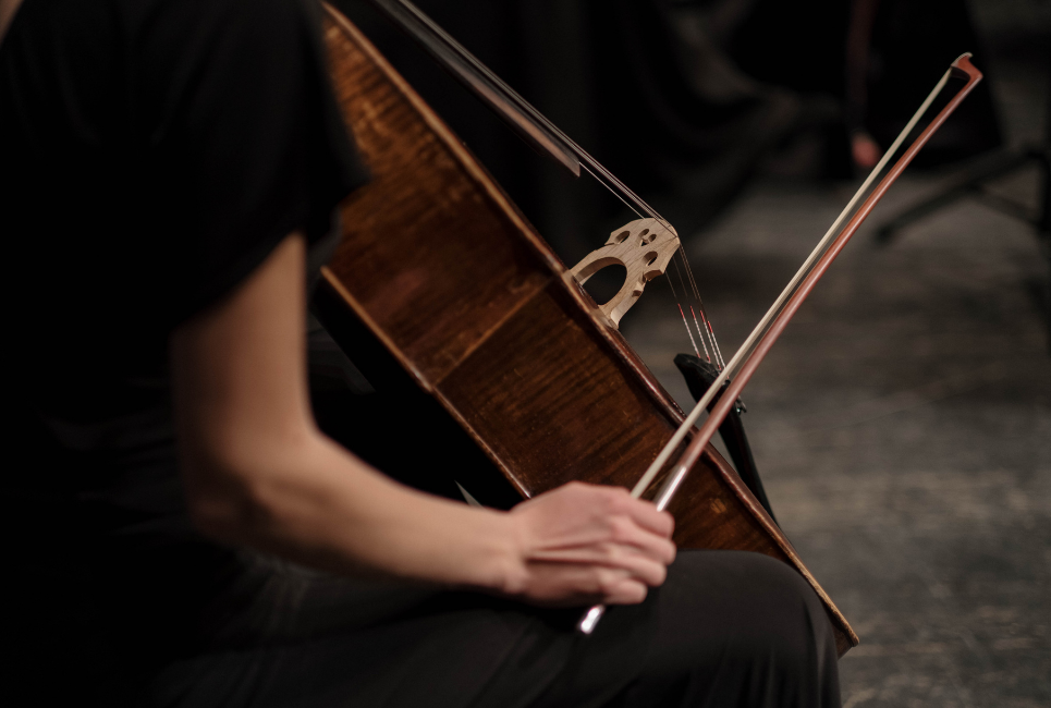 how to find the best cello bow