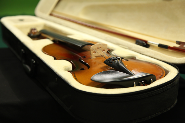 violin case