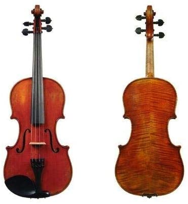D Z Strad Model 365 Violin